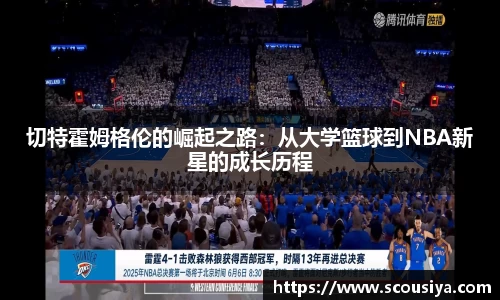DG视讯平台